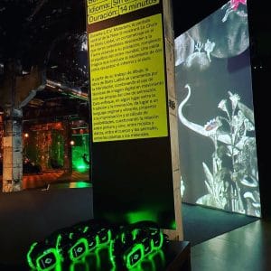 Auriculares inalámbricos iluminados en verde durante una intervención de silencioSonoro